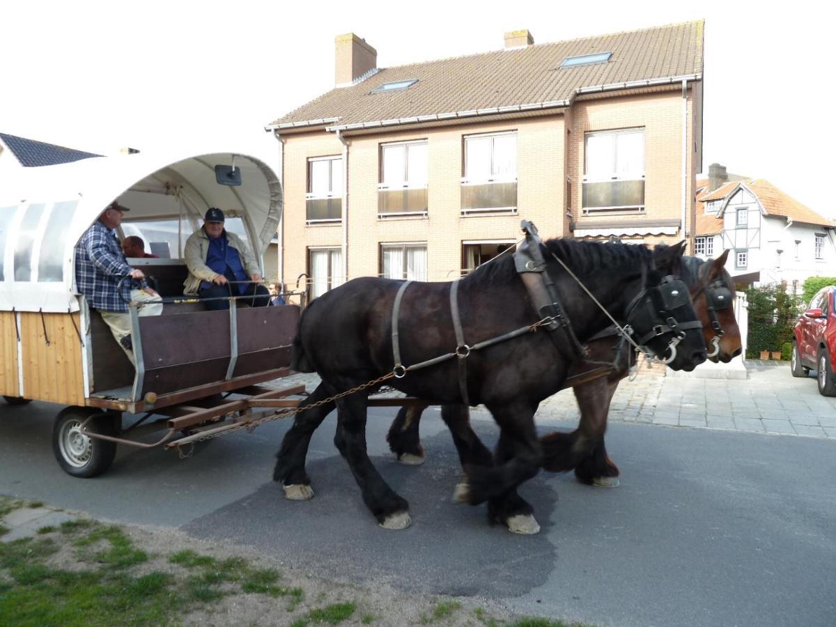 Dodo Des Iles Bed & Breakfast Koksijde Luaran gambar